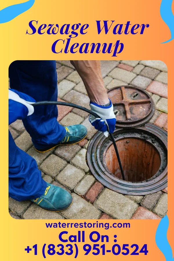 Sewage Water Cleanup in Kingdom City, MO